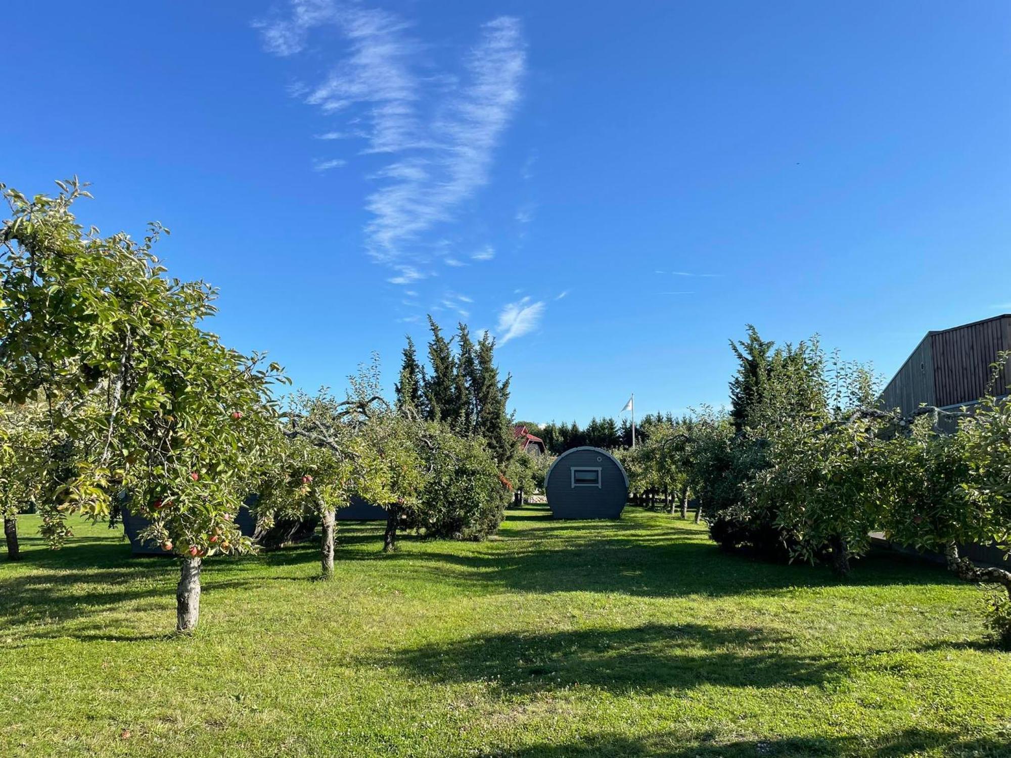 Vetsi Talli Holiday Village Kassari Exteriör bild